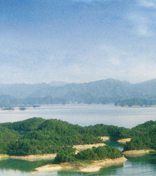 粉象生活注册商家