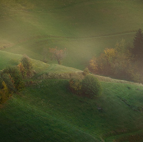粉象生活为什么要升级vip