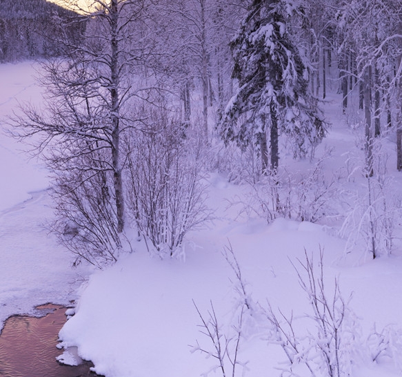 杭州粉象生活公司