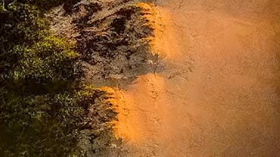 南通粉象生活加盟