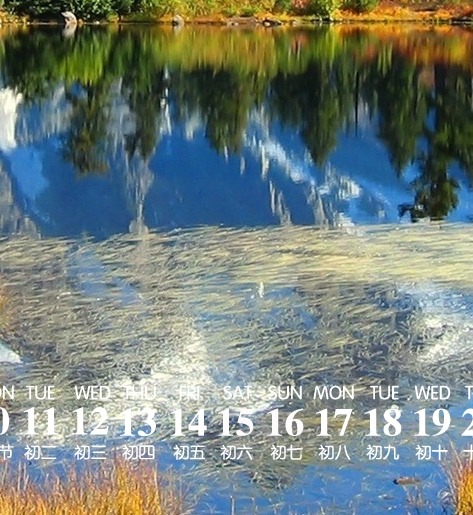 驸马的咸鱼生活