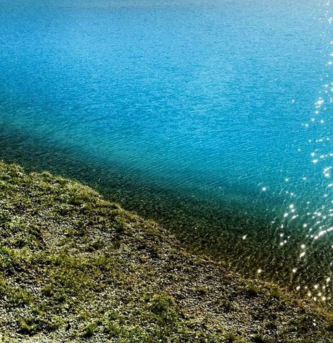 粉象生活邀请码