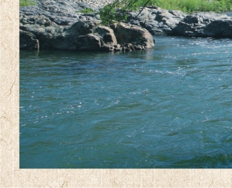 免费粉象生活app