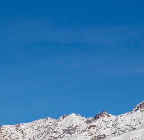 牡丹江粉象生活推广