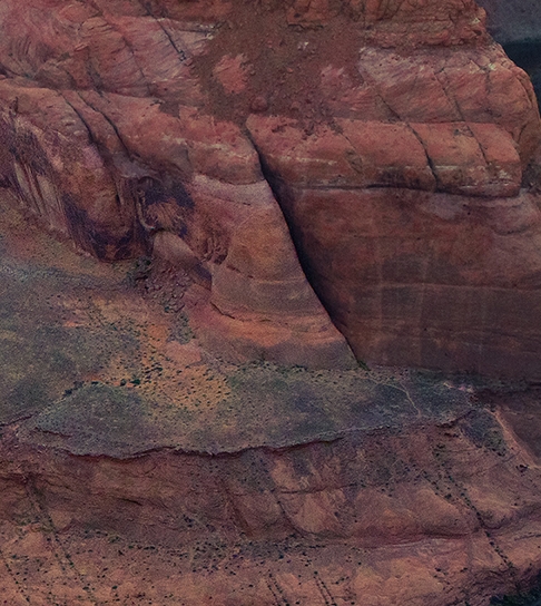 粉象生活优惠券如何使用