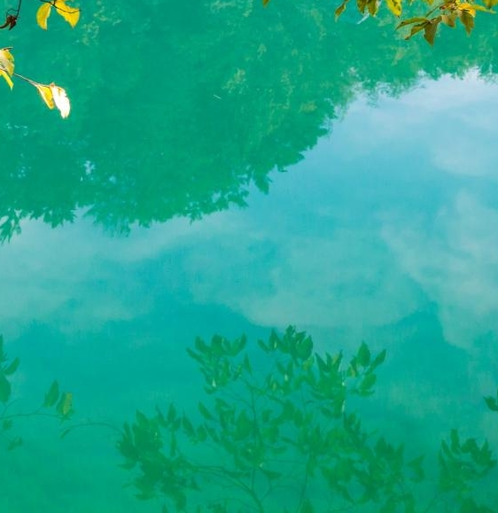 肇庆粉象生活视频