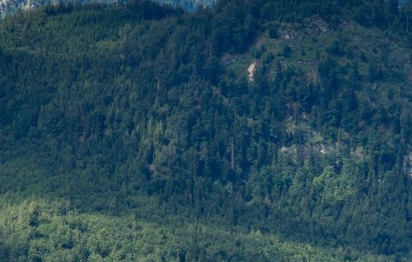 粉象生活怎么中一等奖