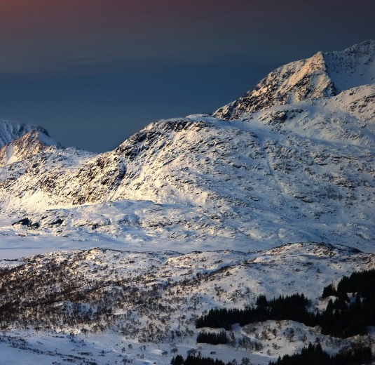 汕头粉象生活如何使用