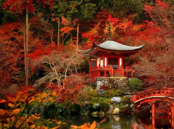 粉象生活399升级会员,为什么不可以退款