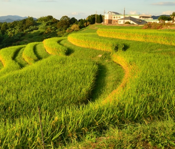 粉象科技有限公司
