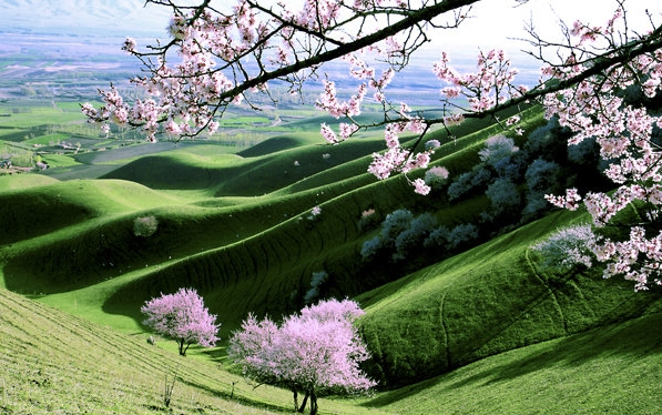 安徽亳州最低生活标准