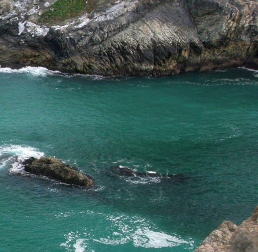 杭州粉象生活推广