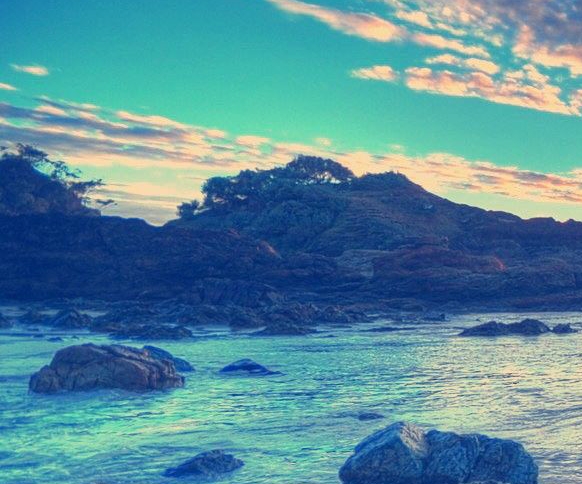 粉象生活下载app