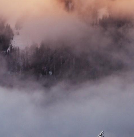 粉象生活购物如何取消订单