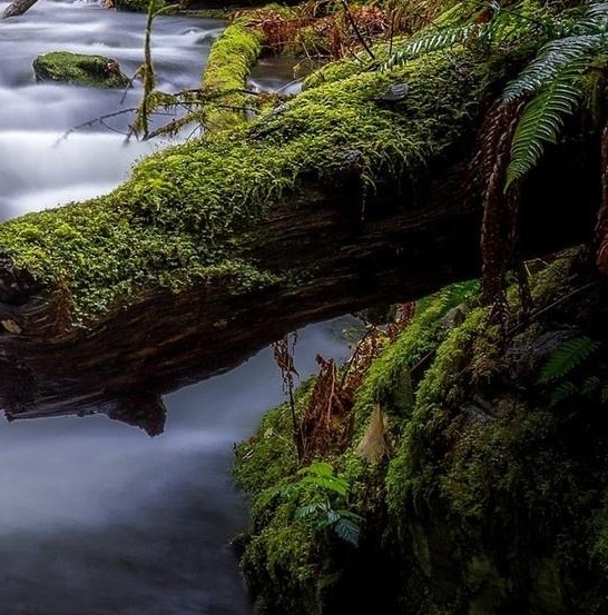 粉象生活里我的订单怎么删除
