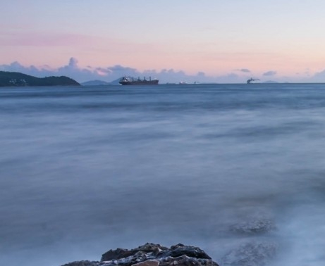 粉象生活如何购买的