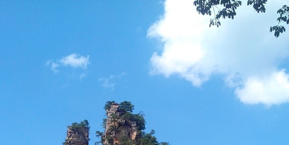 粉象生活的奖码是真的吗