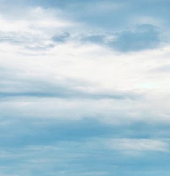 粉象生活返利高吗