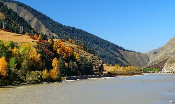 粉象生活下载app