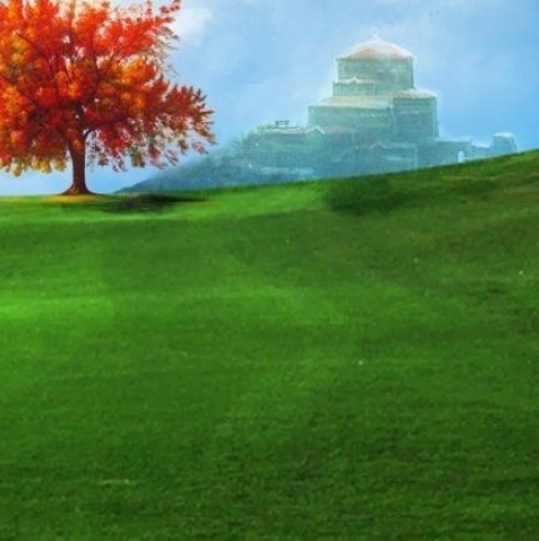 河南高端粉象生活网站