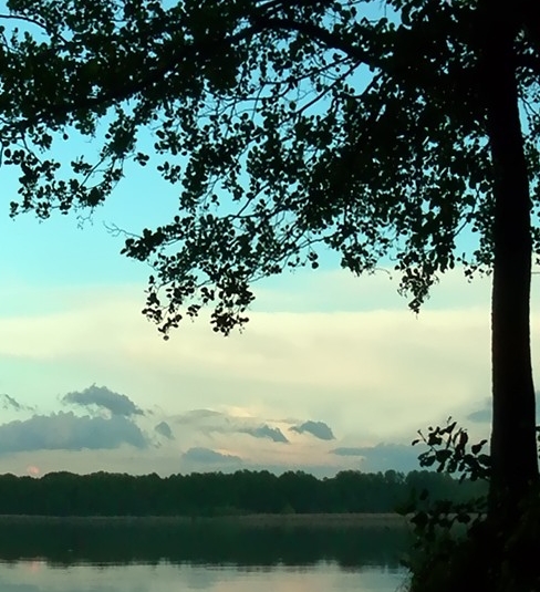 粉象生活分享后怎么没有佣金