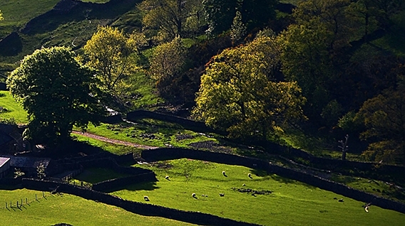 粉象生活赚钱教程