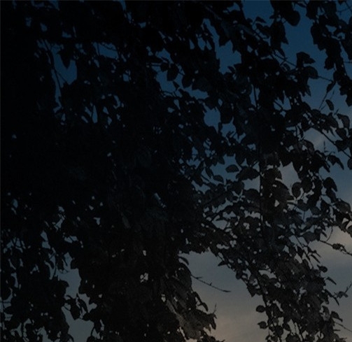 粉象生活如何添加淘宝店铺