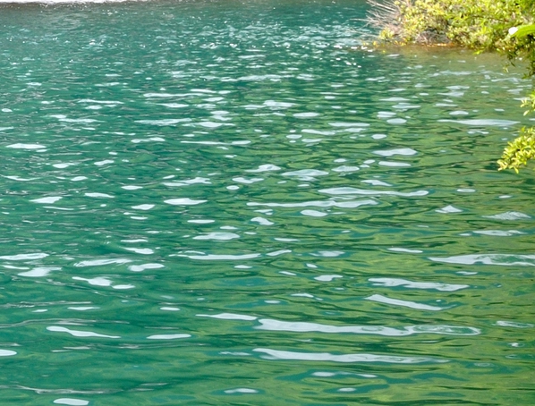 粉象生活分销产品