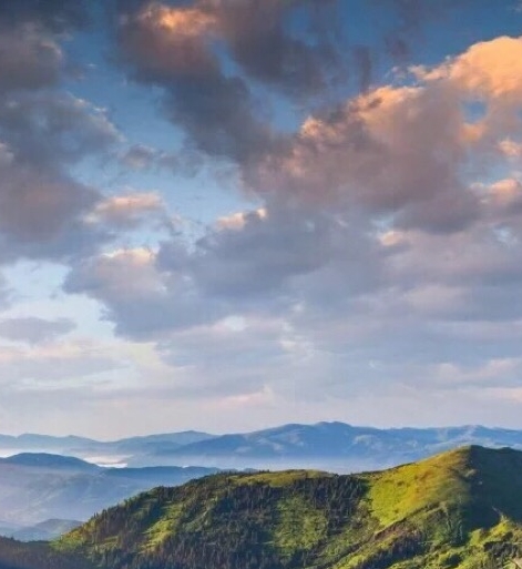 粉象生活的故事