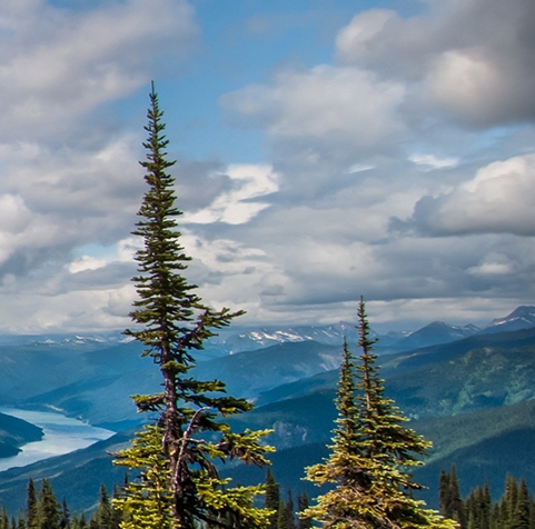 粉象生活邀请一人多少钱