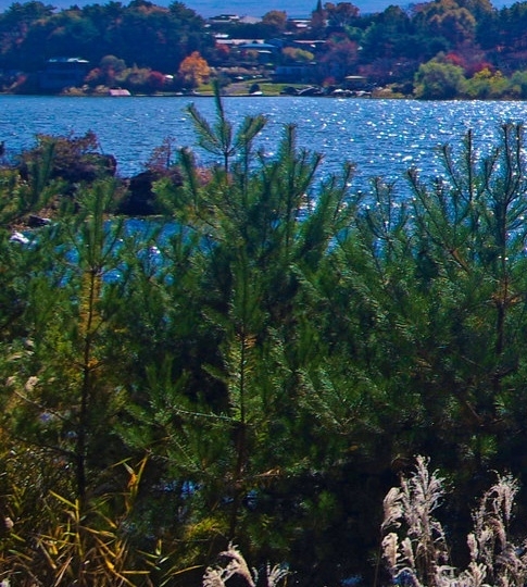 粉象生活怎么赚钱教程