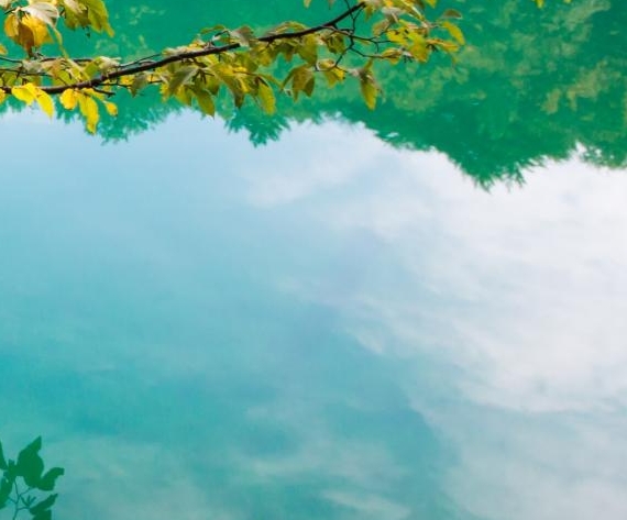 下载粉象生活怎么使用