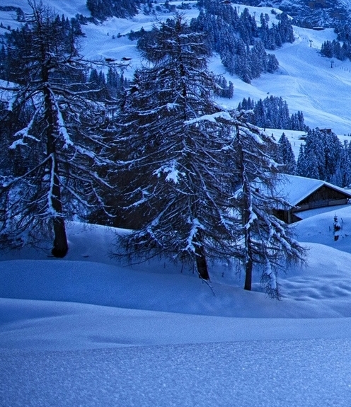 粉象生活可以赚钱吗