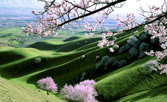 粉象生活怎么买东西