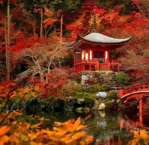 粉象生活官网邀请码