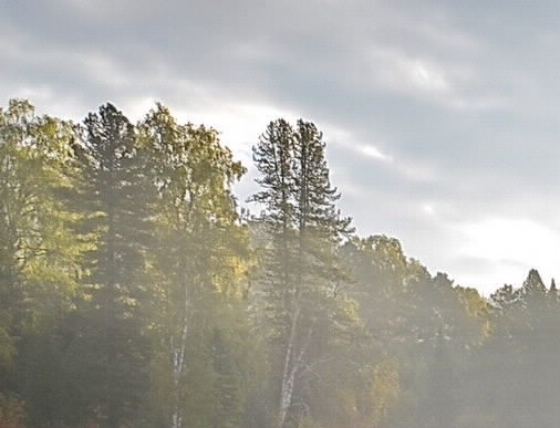 粉象生活是什么东西,真的靠谱吗