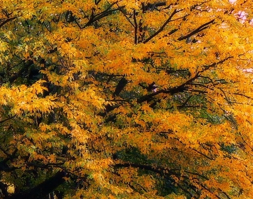 邵阳最低生活保障