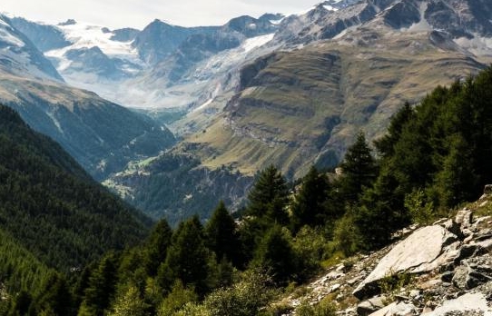 下载粉象生活怎么赚钱