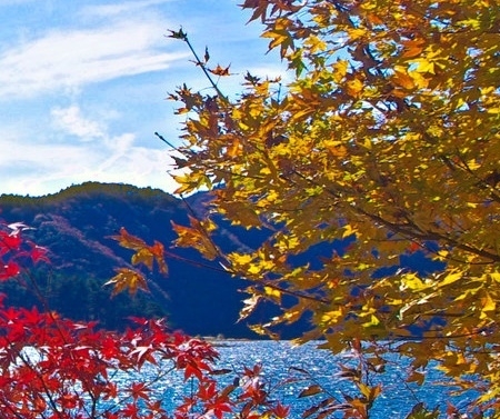 玩粉象生活要求399升级