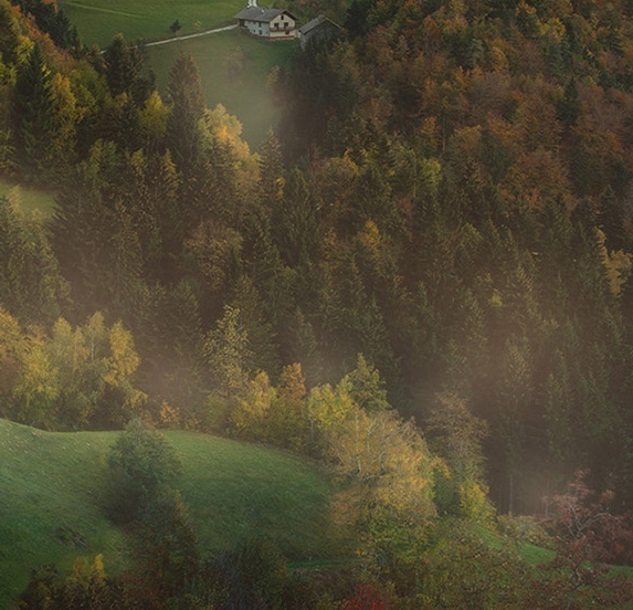 粉象生活邀请码