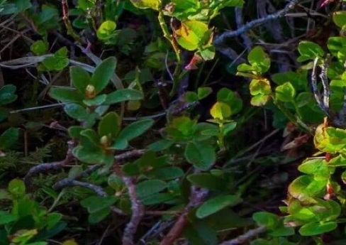 广东加盟粉象生活靠谱么