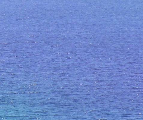 粉象生活交钱吗