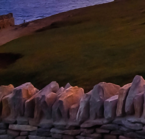 粉象生活邀请码