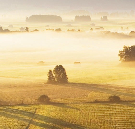 粉象生活怎么发文章赚钱