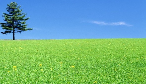 百度惠生活商家怎么收费