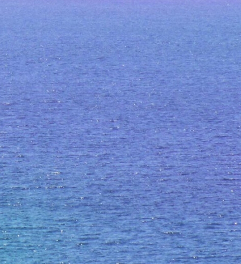 粉象生活怎么用淘宝