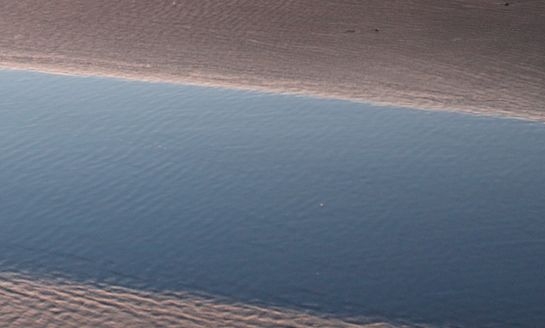 粉象生活下载app