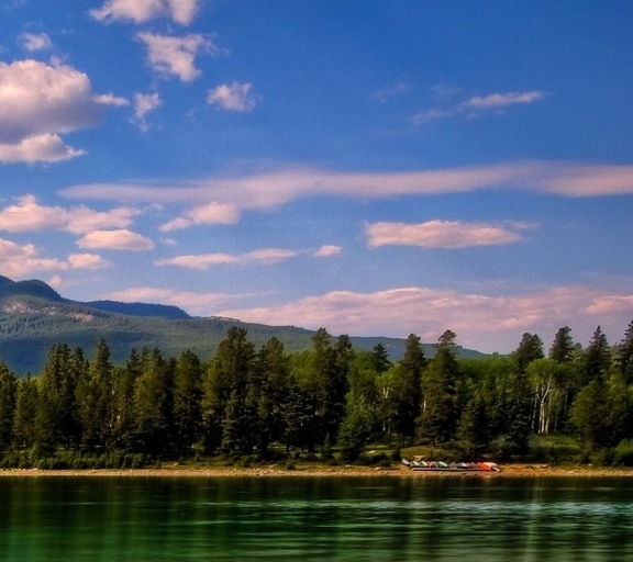 如何加入粉象生活推广
