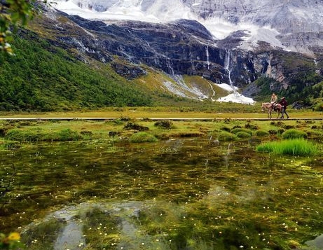 粉象生活邀请码