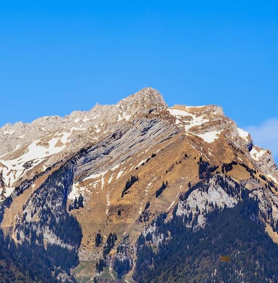 下载粉象生活app